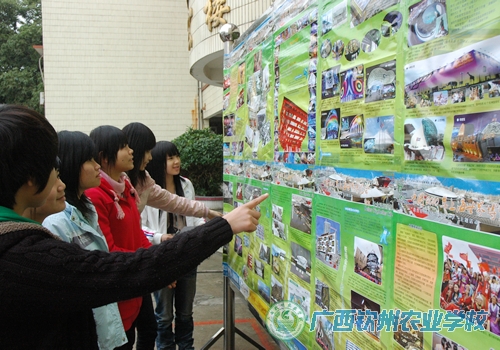 我校展出“世博知识”宣传图片