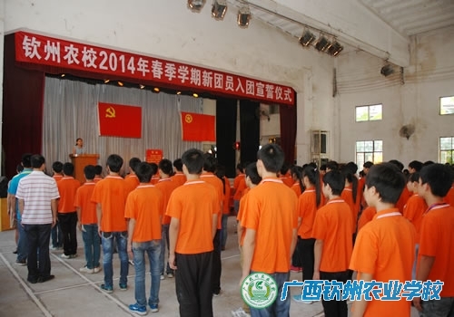 我校举行2014年春季学期新团员入团宣誓仪式