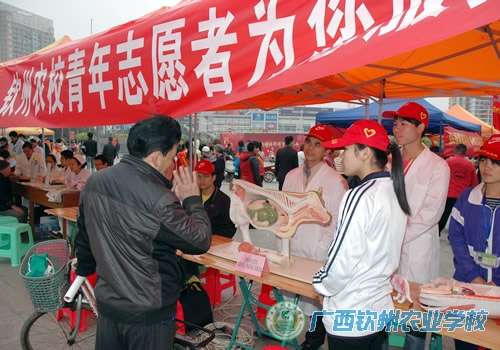 团委组织开展学雷锋系列活动