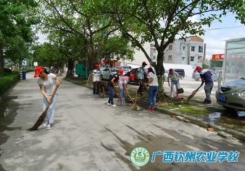 创建文明城市  钦农学子在行动