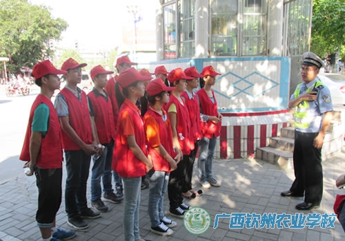 我校青年志愿者参与文明交通志愿服务活动