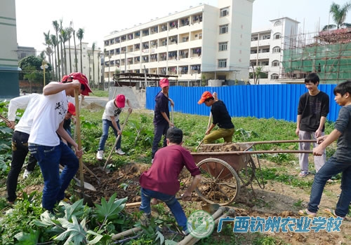 三月学雷锋 钦农学子在行动