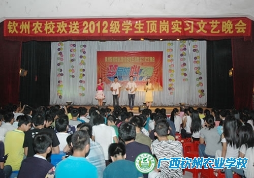 我校举行欢送2012级学生顶岗实习文艺晚会