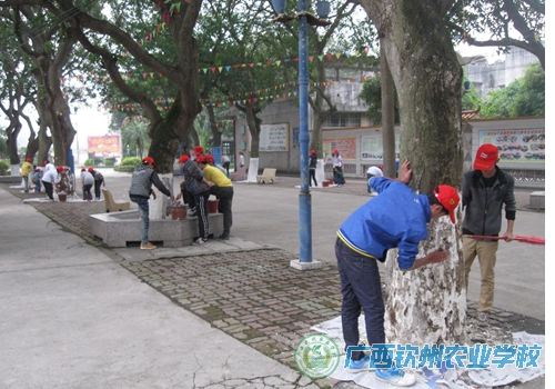 青年志愿者在行动