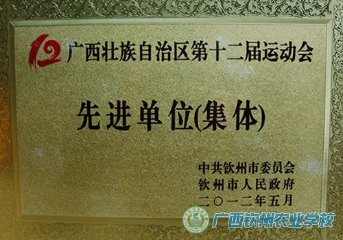 我校获广西第十二届运动会筹办工作先进单位