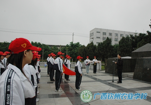 团委组织团员青年祭扫钦州市小董革命烈士墓