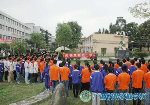 团委举行缅怀校友杨其新烈士活动