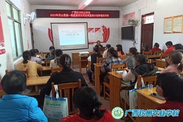 从“技富”走向“致富”叩开致富门 - 灵山县沙坪镇金科村的乡村振兴故事