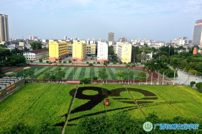 90周年校庆稻田