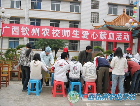 团委组织团员青年开展无偿献血活动