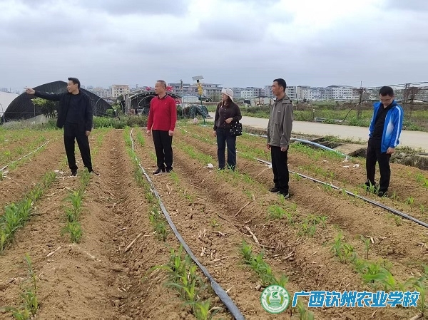 深化校企合作  推进产教融合——我校赴广西昊生农业发展有限公司调研
