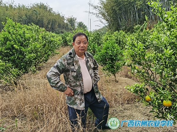 培训赋能“柑”事业 移民闯出致富路——广西钦州农业学校库区移民培训班培育典型李安洲
