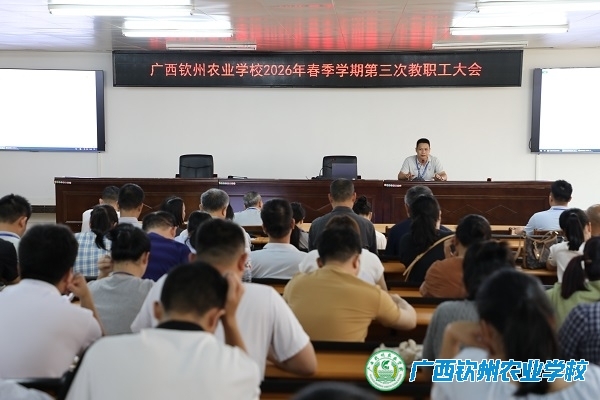 解锁“133”密码，赋能课堂新生长 ——我校开展“133”教学管理模式全员培训